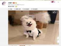 义乌市飒宓电子商务商行