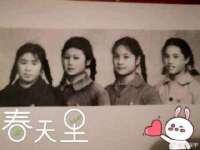 义乌市飒宓电子商务商行