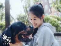 义乌市飒宓电子商务商行