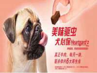 义乌市飒宓电子商务商行