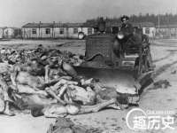 义乌市飒宓电子商务商行