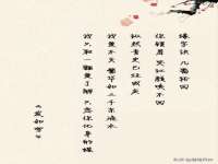 义乌市飒宓电子商务商行