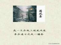 义乌市飒宓电子商务商行