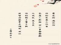 义乌市飒宓电子商务商行