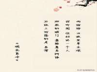 义乌市飒宓电子商务商行