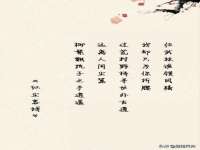 义乌市飒宓电子商务商行