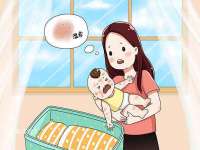 义乌市飒宓电子商务商行