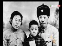 义乌市飒宓电子商务商行