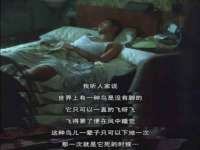 义乌市飒宓电子商务商行