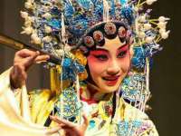 义乌市飒宓电子商务商行