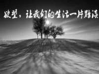 义乌市飒宓电子商务商行