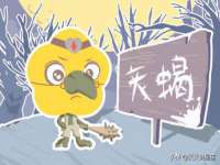 义乌市飒宓电子商务商行