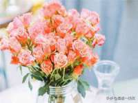 义乌市飒宓电子商务商行