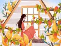 义乌市飒宓电子商务商行