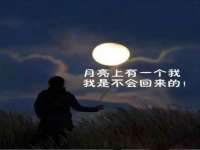 义乌市飒宓电子商务商行