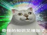 义乌市飒宓电子商务商行