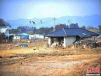 义乌市飒宓电子商务商行