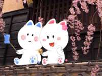 义乌市飒宓电子商务商行