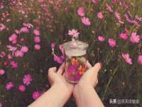 义乌市飒宓电子商务商行