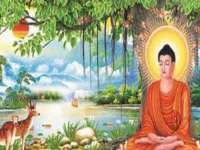 义乌市飒宓电子商务商行