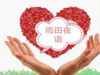 义乌市飒宓电子商务商行